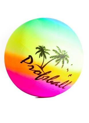 М'яч волейбольний profiball