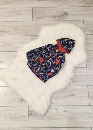 Вітровка, ветровка, куртка