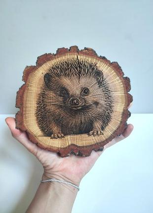 Картина на зрізі дерева дуб їжачок їжак handmade декор 🍄 розміри 16х16 см