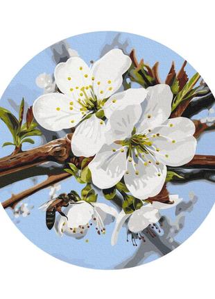 Картина за номерами кругла brushme 40см "яблуневий цвіт  © anastasiia osmolovska" rc00096l