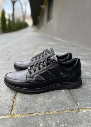 Кросівки великих розмірів