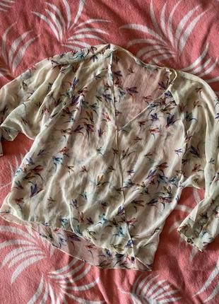 Рубашка блузка блуза в птички колибри zara