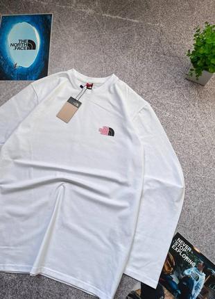 Лонгсліви tnf і carhartt