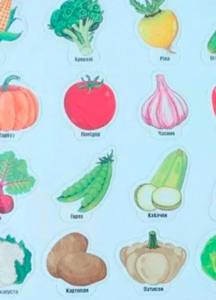 Игры на магнитах "овощи" ост.1267
