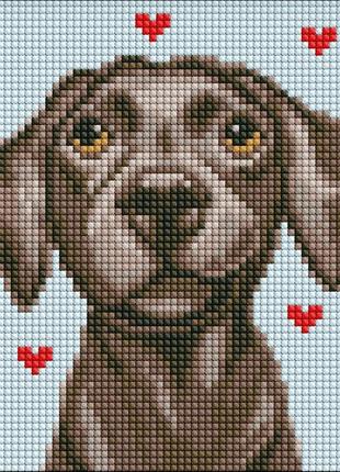 Алмазная мозаика без подрамника для детей "ласковый друг" amc7961 с ав стразами 20х20 см