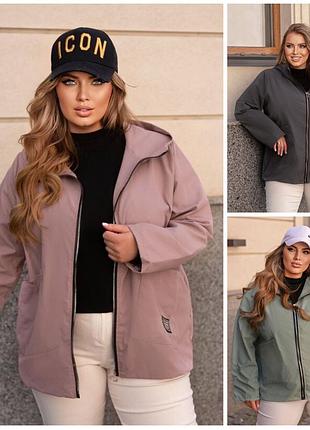 Вітровки, куртки