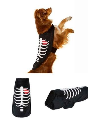 Костюм для собачки на хеллоуин xs
