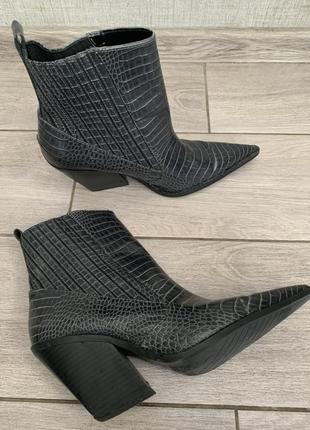 Казаки zara