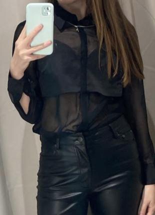 Блузка h&m