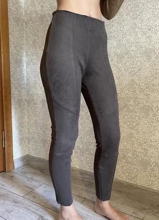Легінси штани лосіни