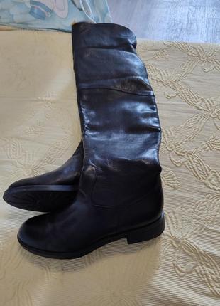 Сапоги ботфорты