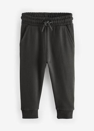 Утеплені джогери спортивні штани некст