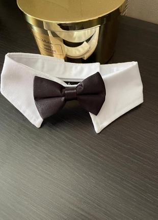 Метелик для тварин