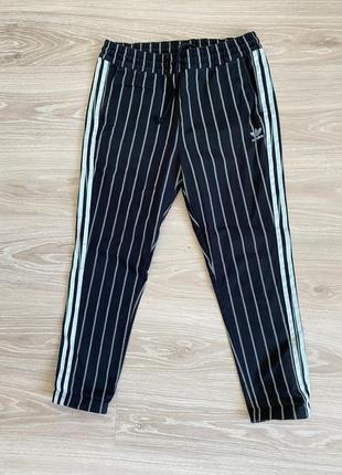 Брюки adidas6 фото