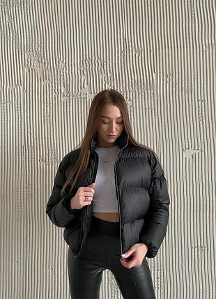Стильные базовые куртки в цветах