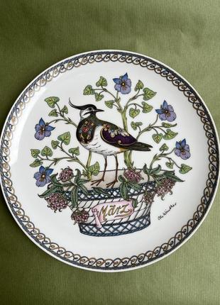 Коллекционные тарелки, большие из серии "птицы. месяцы года", hutschenreuther5 фото