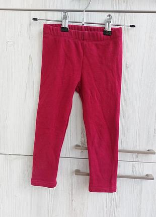 Брендові лосіни