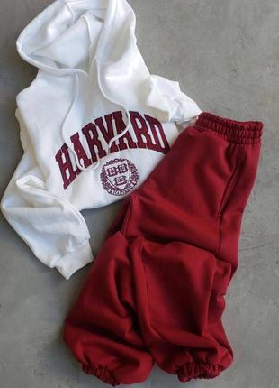 Спортивний костюм на флісі