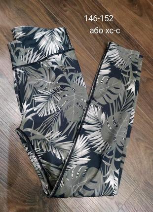 Лосіни