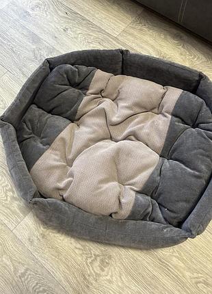 Место для собаки