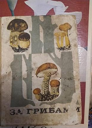Книга за грибами