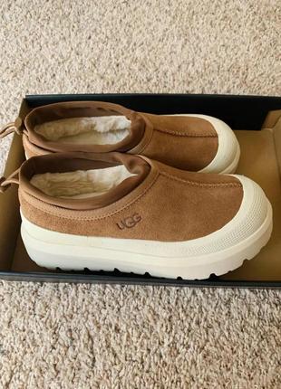 Ugg tasman