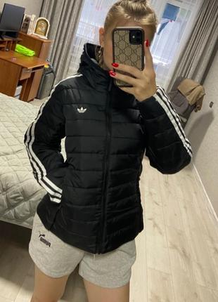 Куртка осень adidas3 фото