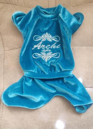 Костюм для маленькой собачки велюр