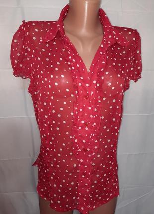 Блузка, розмір 462 фото