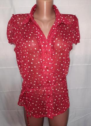 Блузка, розмір 46