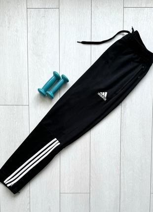 Спортивные штаны adidas мужские спортивки1 фото