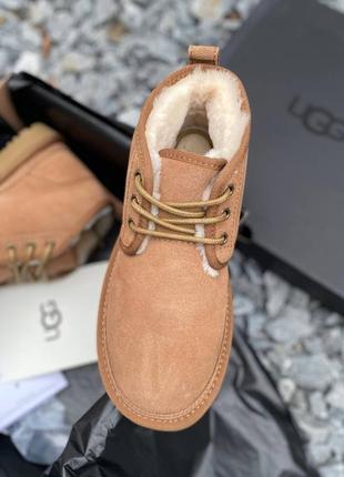 Черевики угги уггі уги угі ugg women's neumel chestnut