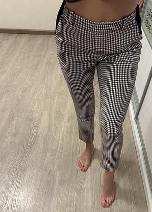 Брюки штани класика