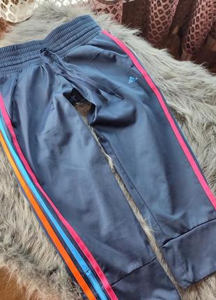 Спортивные бриджи адидас