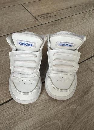 Высокие кроссовки, хайтопы adidas р.23 кроссовки