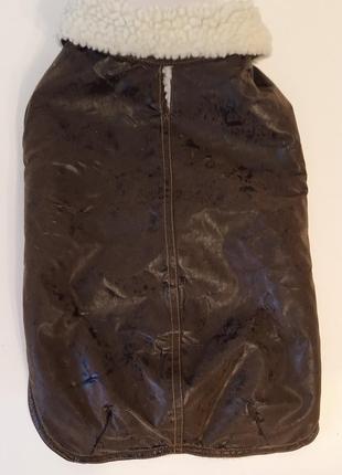 Одежда для собак. 2