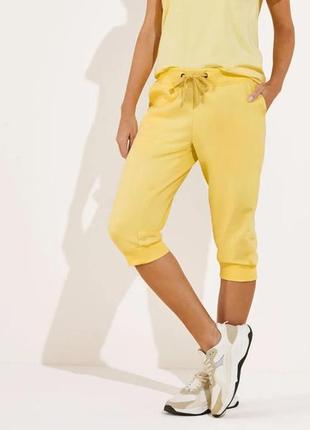 Жіночі теплі бріджи esmara, розмір s, l, світло жовтий