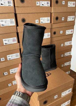 Женские угги ugg classic short ii black9 фото