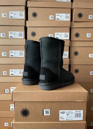 Женские угги ugg classic short ii black