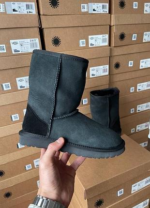 Женские угги ugg classic short ii black