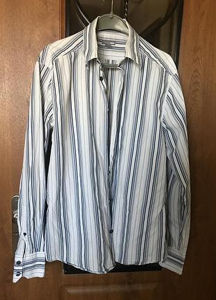 Сіра сорочка в синю смужку