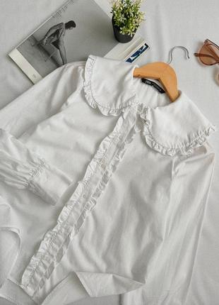 Белая рубашка • блузка zara2 фото