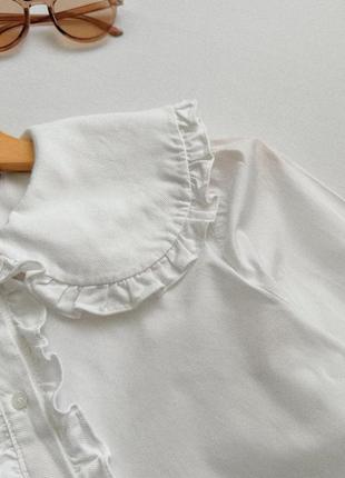 Белая рубашка • блузка zara6 фото