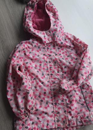 Куртка вітровка