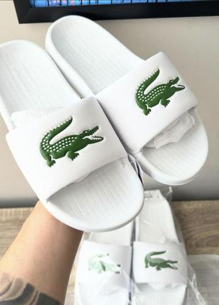 Капці lacoste serve slide 1.0 оригінал