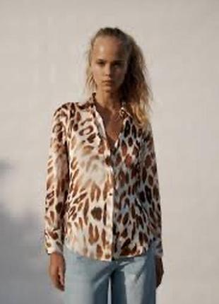 Блуза женская блузка zara с принтом классная стильная трендовая модель базовая