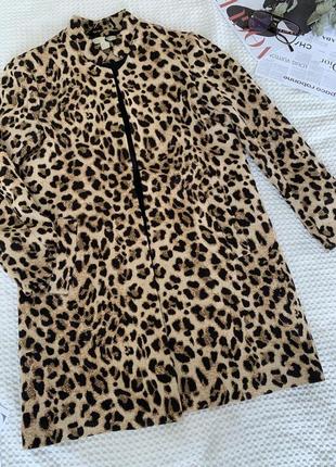 Пальто, h&m,принт леопард