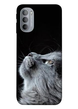 Чехол с принтом на моторола мото джи 31 cute cat / чехол с принтом на motorola moto g31