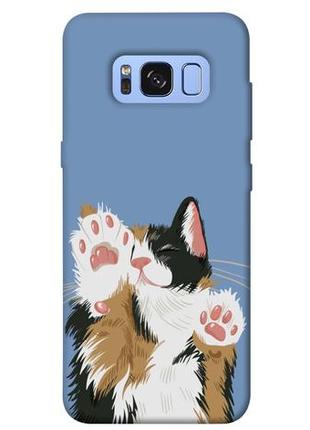 Чохол із принтом на samsung галаксі з8 funny cat / чохол із принтом на samsung galaxy s8