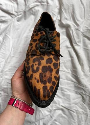 Клевые леопардовые туфли asos размер 38 = 24 см7 фото